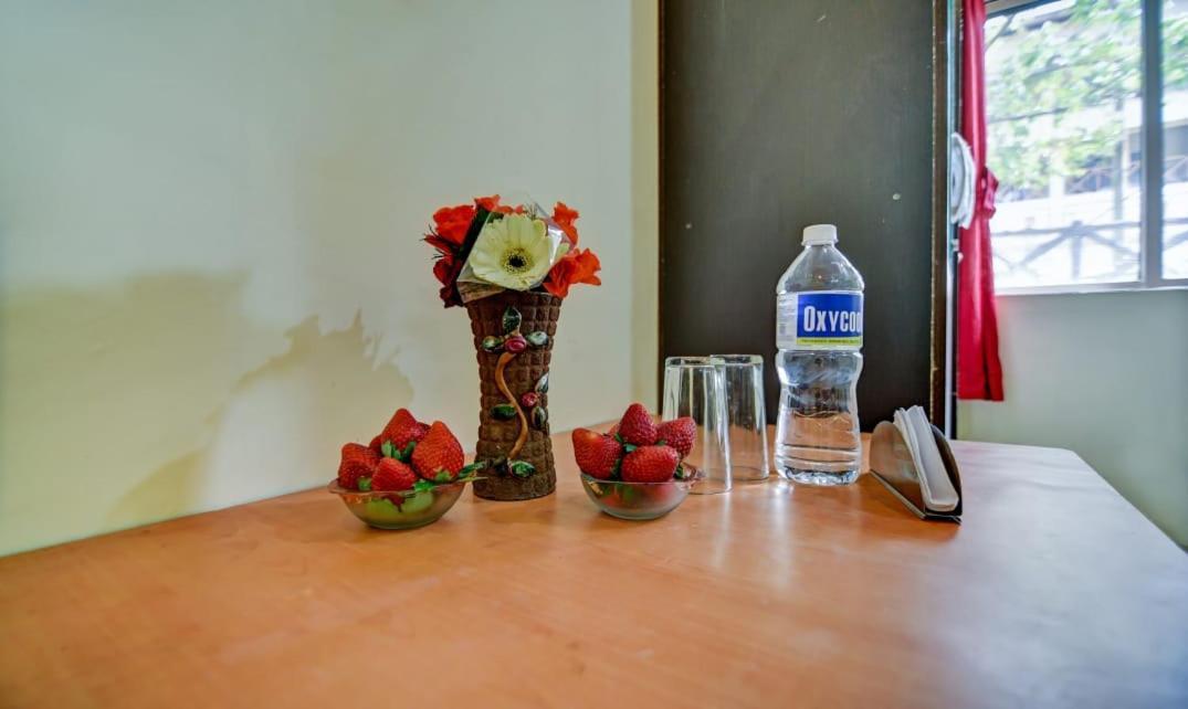 Green Park Cottage Mahabaleshwar Bagian luar foto